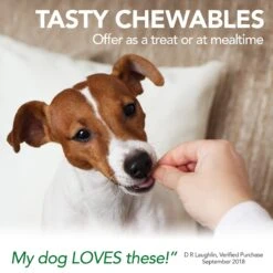 Vet's Best Aches + Pains Vet Formulated For Dog Occasional Discomfort Hip & Joint Support Chew Supplement For Dogs -Pet Wellness 60179 PT5. AC SS1800 V1567776743