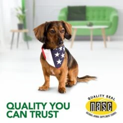 Vet's Best Aches + Pains Vet Formulated For Dog Occasional Discomfort Hip & Joint Support Chew Supplement For Dogs -Pet Wellness 60179 PT7. AC SS1800 V1567776721