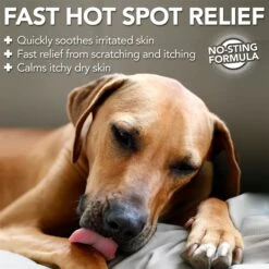 Vet's Best Hot Spot Spray For Dogs 8 Vet's Best Hot Spot Spray For Dogs -Pet Wellness 60192 PT2. AC SS1800 V1632780708