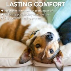 Vet's Best Hot Spot Spray For Dogs 9 Vet's Best Hot Spot Spray For Dogs -Pet Wellness 60192 PT3. AC SS1800 V1632781985