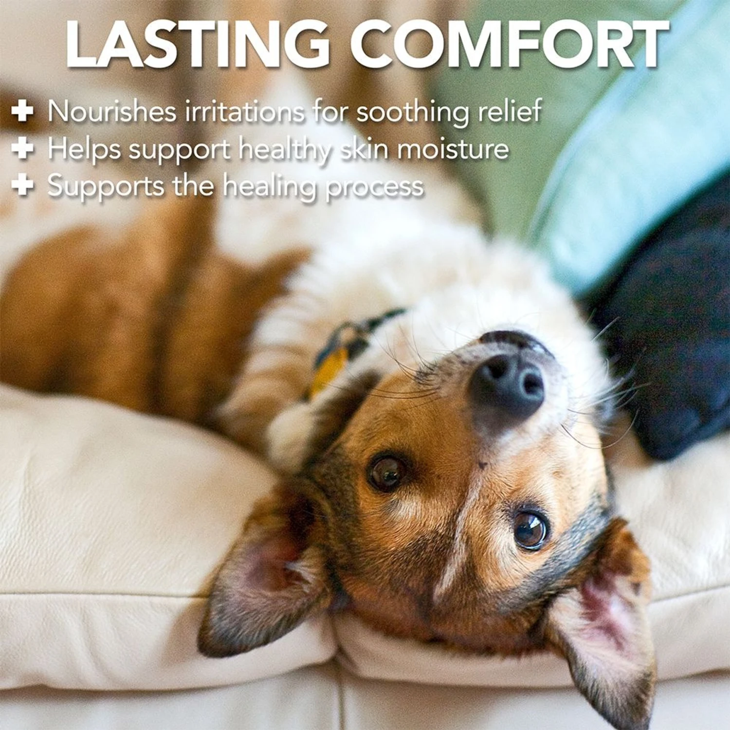 Vet's Best Hot Spot Spray For Dogs 4 Vet's Best Hot Spot Spray For Dogs - Image 4