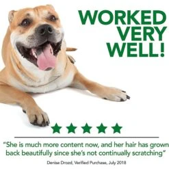 Vet's Best Hot Spot Spray For Dogs 10 Vet's Best Hot Spot Spray For Dogs -Pet Wellness 60192 PT4. AC SS1800 V1632787602