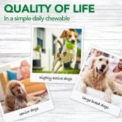 Vet's Best Advanced Chewable Tablets Joint Supplement For Dogs 12 Vet's Best Advanced Chewable Tablets Joint Supplement For Dogs -Pet Wellness 60196 PT6. AC SS1800 V1567776784