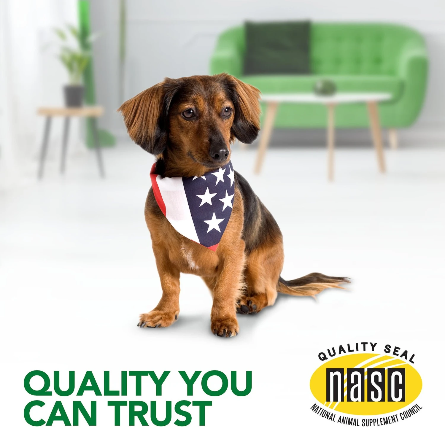 Vet's Best Advanced Chewable Tablets Joint Supplement For Dogs 7 Vet's Best Advanced Chewable Tablets Joint Supplement For Dogs - Image 7