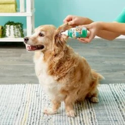 NaturVet Aloe & Baby Powder Scent Dog & Cat Ear Wash -Pet Wellness 60307 PT8. AC SS1800 V1542825833