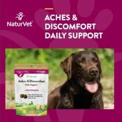 NaturVet Aches & Discomfort Plus Glucosamine Soft Chews Joint Supplement For Dogs 11 NaturVet Aches & Discomfort Plus Glucosamine Soft Chews Joint Supplement For Dogs -Pet Wellness 60311 PT3. AC SS1800 V1698692782