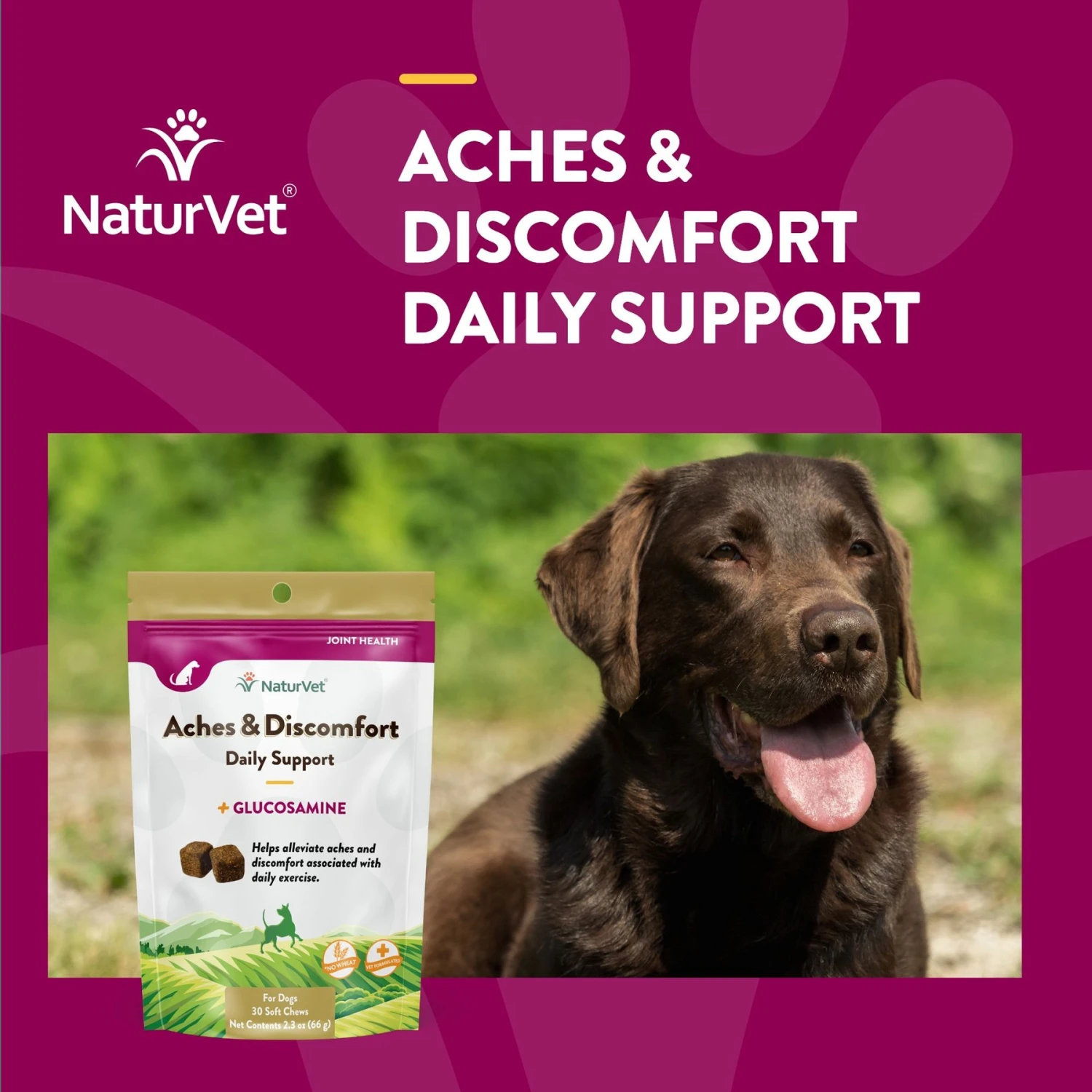 NaturVet Aches & Discomfort Plus Glucosamine Soft Chews Joint Supplement For Dogs 4 NaturVet Aches & Discomfort Plus Glucosamine Soft Chews Joint Supplement For Dogs - Image 4