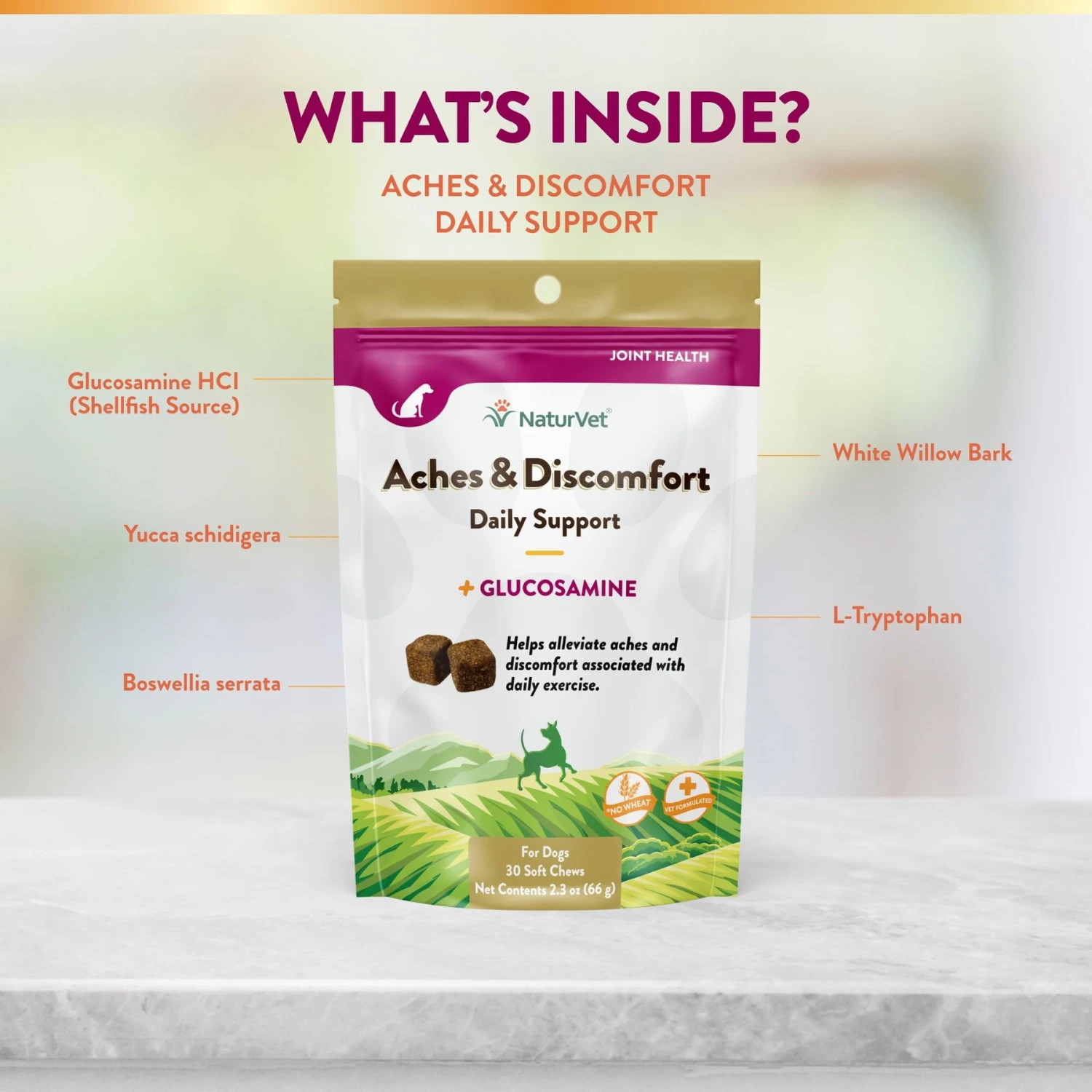 NaturVet Aches & Discomfort Plus Glucosamine Soft Chews Joint Supplement For Dogs 5 NaturVet Aches & Discomfort Plus Glucosamine Soft Chews Joint Supplement For Dogs - Image 5