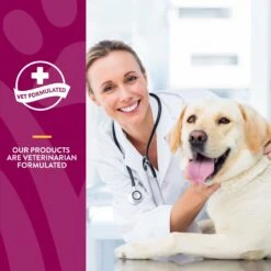 NaturVet Aches & Discomfort Plus Glucosamine Soft Chews Joint Supplement For Dogs 13 NaturVet Aches & Discomfort Plus Glucosamine Soft Chews Joint Supplement For Dogs -Pet Wellness 60311 PT5. AC SS1800 V1698694348