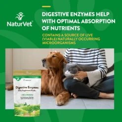 NaturVet Digestive Enzymes Plus Pre & Probiotic Powder Digestive Supplement For Cats & Dogs 12 NaturVet Digestive Enzymes Plus Pre & Probiotic Powder Digestive Supplement For Cats & Dogs -Pet Wellness 60321 PT3. AC SS1800 V1698693233