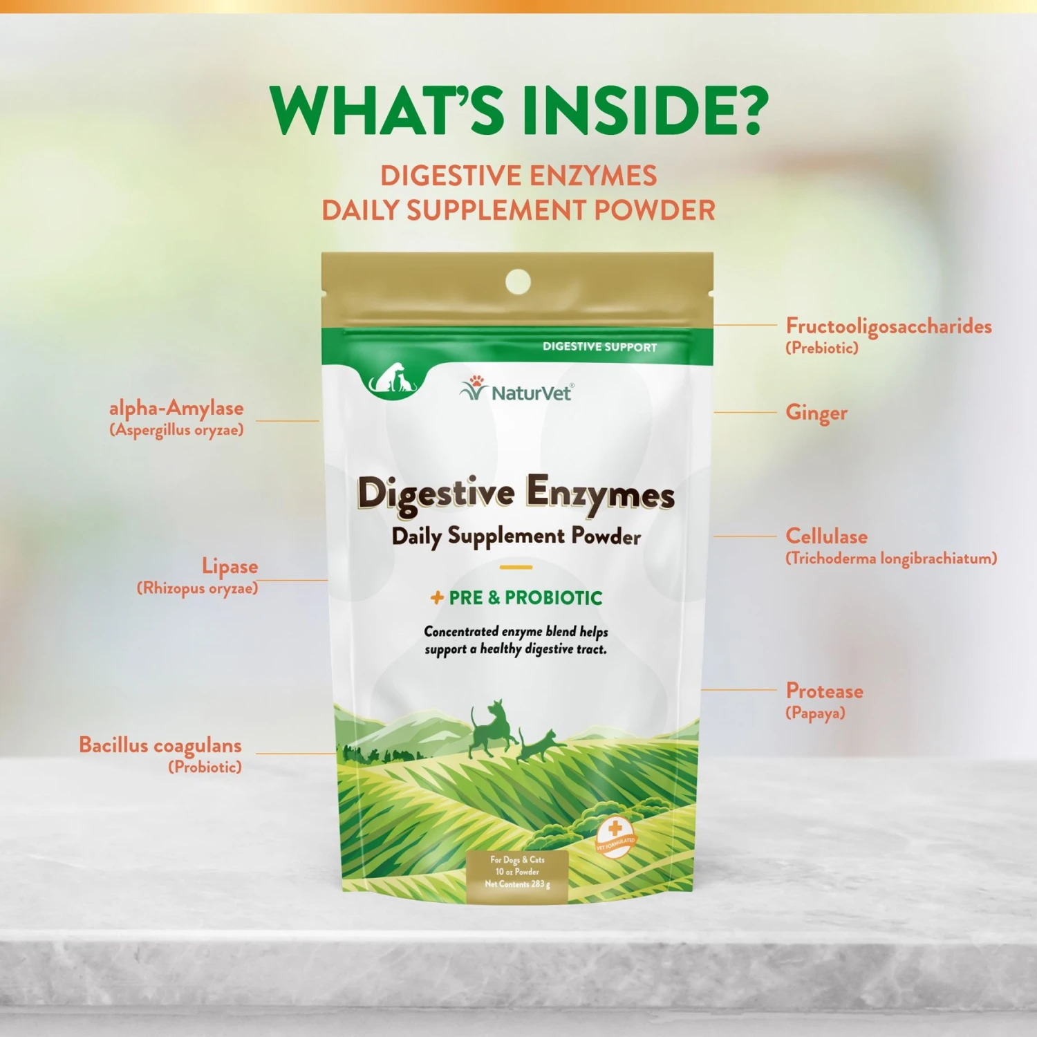 NaturVet Digestive Enzymes Plus Pre & Probiotic Powder Digestive Supplement For Cats & Dogs 5 NaturVet Digestive Enzymes Plus Pre & Probiotic Powder Digestive Supplement For Cats & Dogs - Image 5