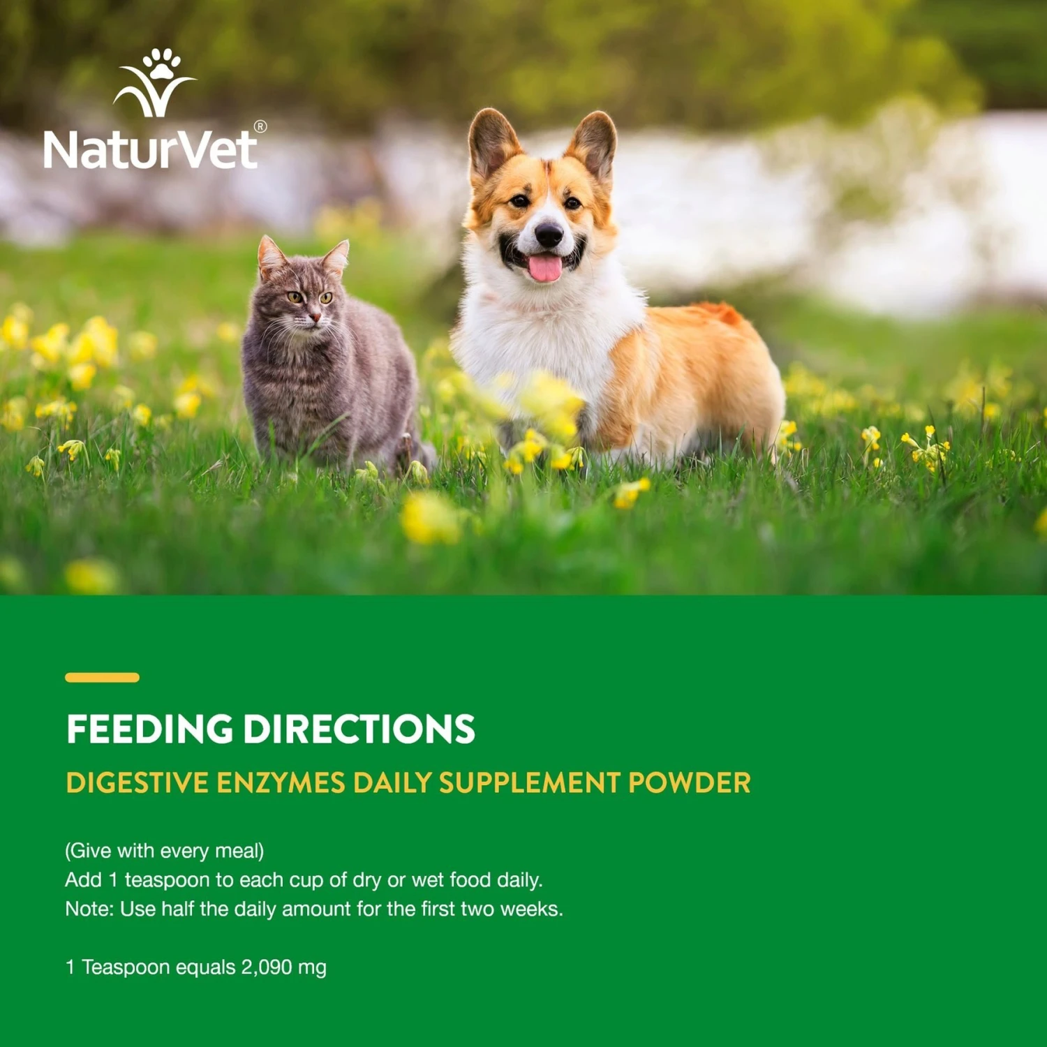 NaturVet Digestive Enzymes Plus Pre & Probiotic Powder Digestive Supplement For Cats & Dogs 7 NaturVet Digestive Enzymes Plus Pre & Probiotic Powder Digestive Supplement For Cats & Dogs - Image 7