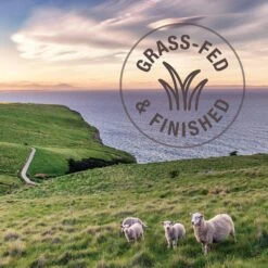 K9 Natural Beef Feast Raw Grain-Free Freeze-Dried Dog Food -Pet Wellness 60438 PT5. AC SS1800 V1594908956