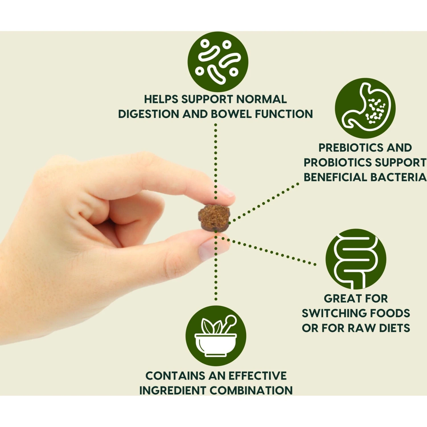 Ark Naturals Gentle Digest Dog & Cat Soft Chews 2 Ark Naturals Gentle Digest Dog & Cat Soft Chews - Image 2