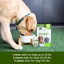 Ark Naturals Gentle Digest Dog & Cat Soft Chews 14 Ark Naturals Gentle Digest Dog & Cat Soft Chews -Pet Wellness 60755 PT6. AC SS1800 V1696875430