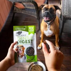 Ark Naturals Gentle Digest Dog & Cat Soft Chews 15 Ark Naturals Gentle Digest Dog & Cat Soft Chews -Pet Wellness 60755 PT7. AC SS1800 V1696875443