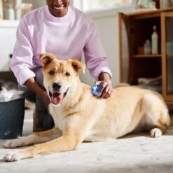 KONG Dog ZoomGroom Multi-Use Brush -Pet Wellness 60812 PT2. AC SS1800 V1683923048