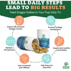Doggie Dailies Advanced Smoked Duck Flavored Soft Chew Hip & Joint Supplement For Senior Dogs, 120 Count -Pet Wellness 609566 PT4. AC SS1800 V1666839090