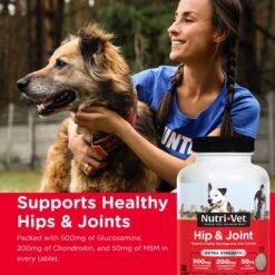 Nutri-Vet Extra Strength Chewable Tablets Joint Supplement For Dogs -Pet Wellness 61058 PT4. AC SS1800 V1661973865