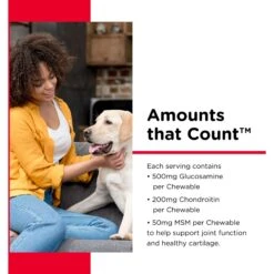 Nutri-Vet Extra Strength Chewable Tablets Joint Supplement For Dogs -Pet Wellness 61058 PT5. AC SS1800 V1661973494