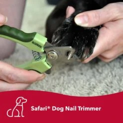 Safari Professional Nail Trimmer For Dogs 10 Safari Professional Nail Trimmer For Dogs -Pet Wellness 61227 PT2. AC SS1800 V1673648565