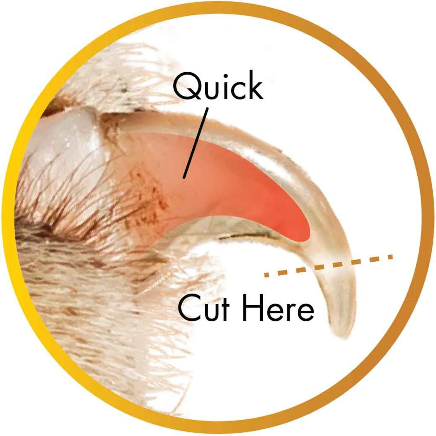 Safari Professional Nail Trimmer For Dogs 7 Safari Professional Nail Trimmer For Dogs - Image 7