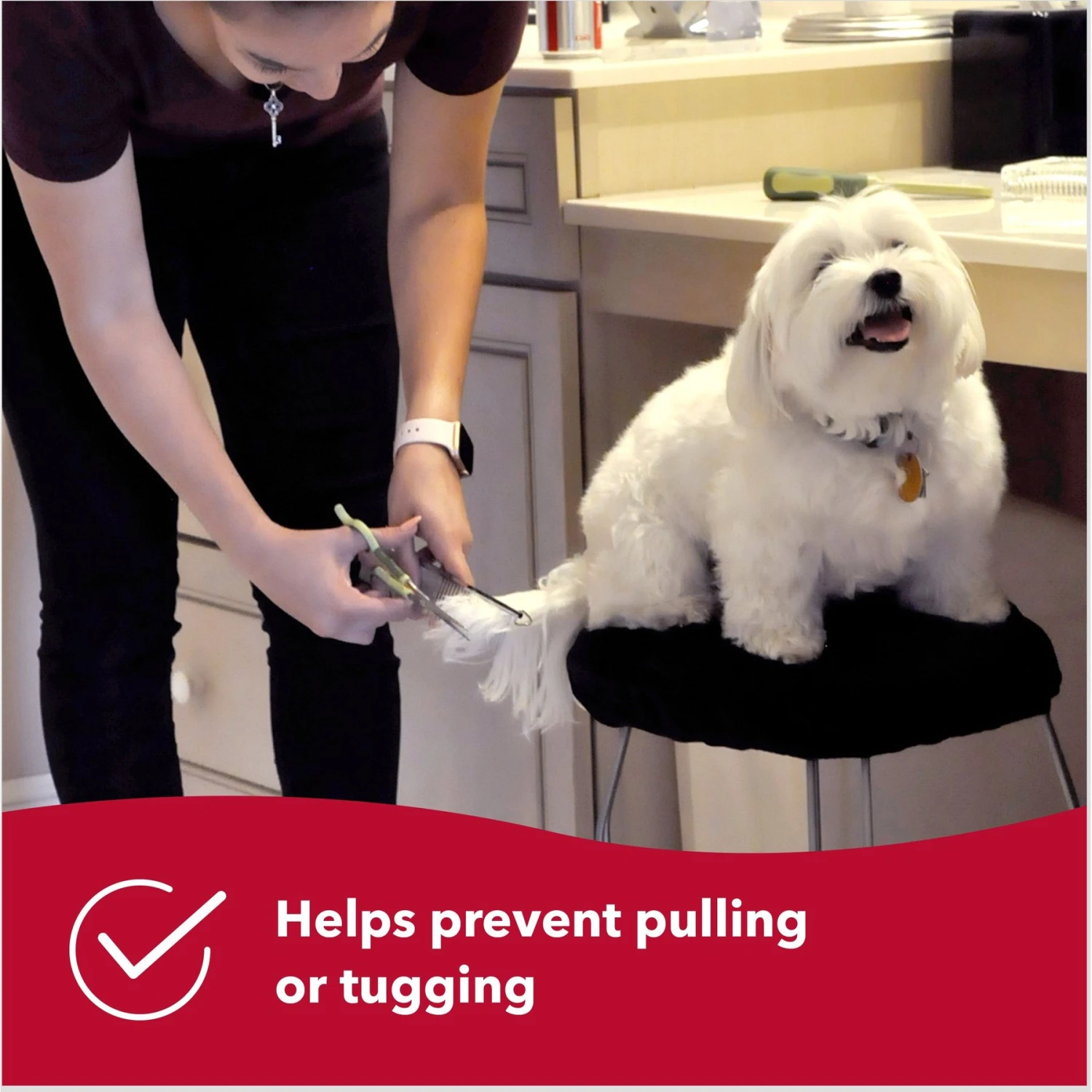 Safari Fine Comb For Dogs 6 Safari Fine Comb For Dogs - Image 6