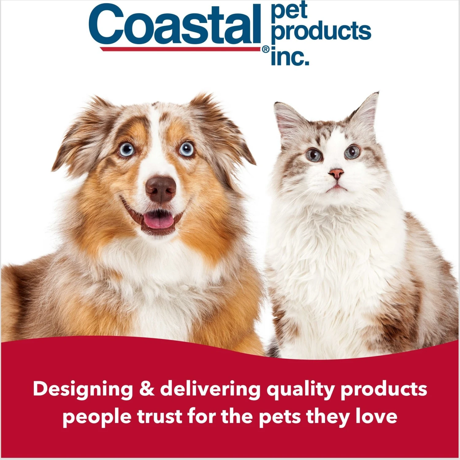 Safari Fine Comb For Dogs 7 Safari Fine Comb For Dogs - Image 7