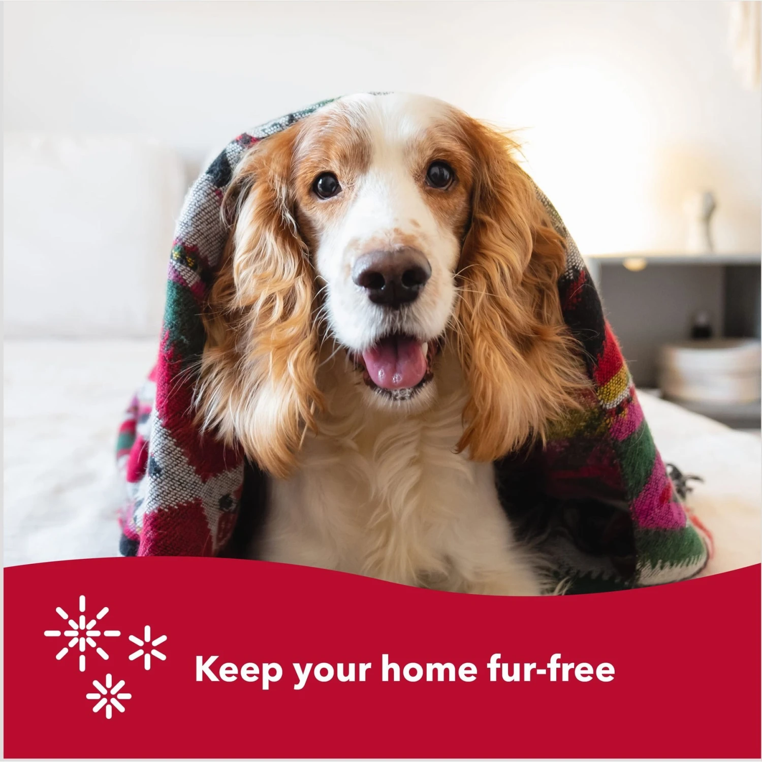 Safari Soft Slicker Brush For Dogs 6 Safari Soft Slicker Brush For Dogs - Image 6