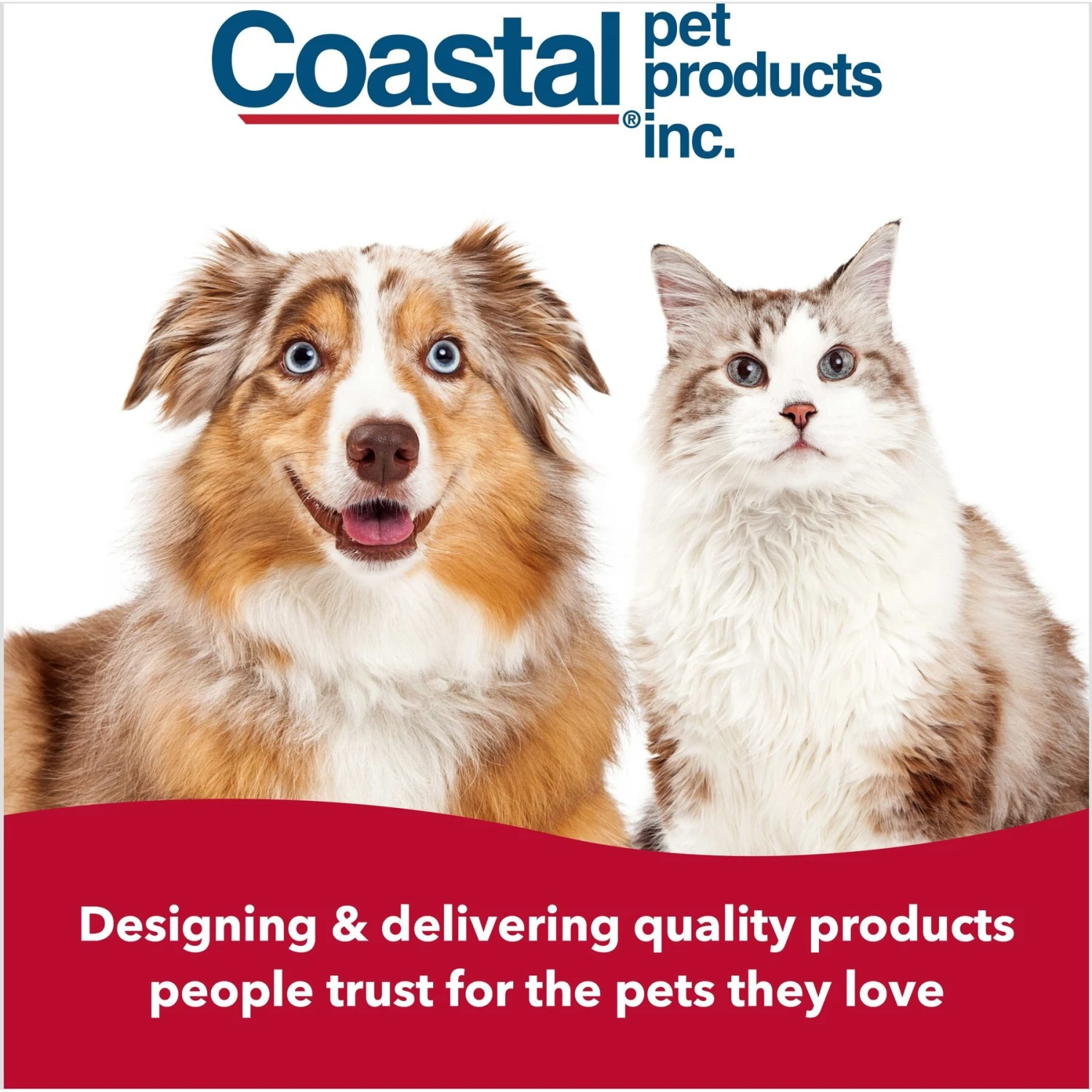 Safari Soft Slicker Brush For Dogs 7 Safari Soft Slicker Brush For Dogs - Image 7