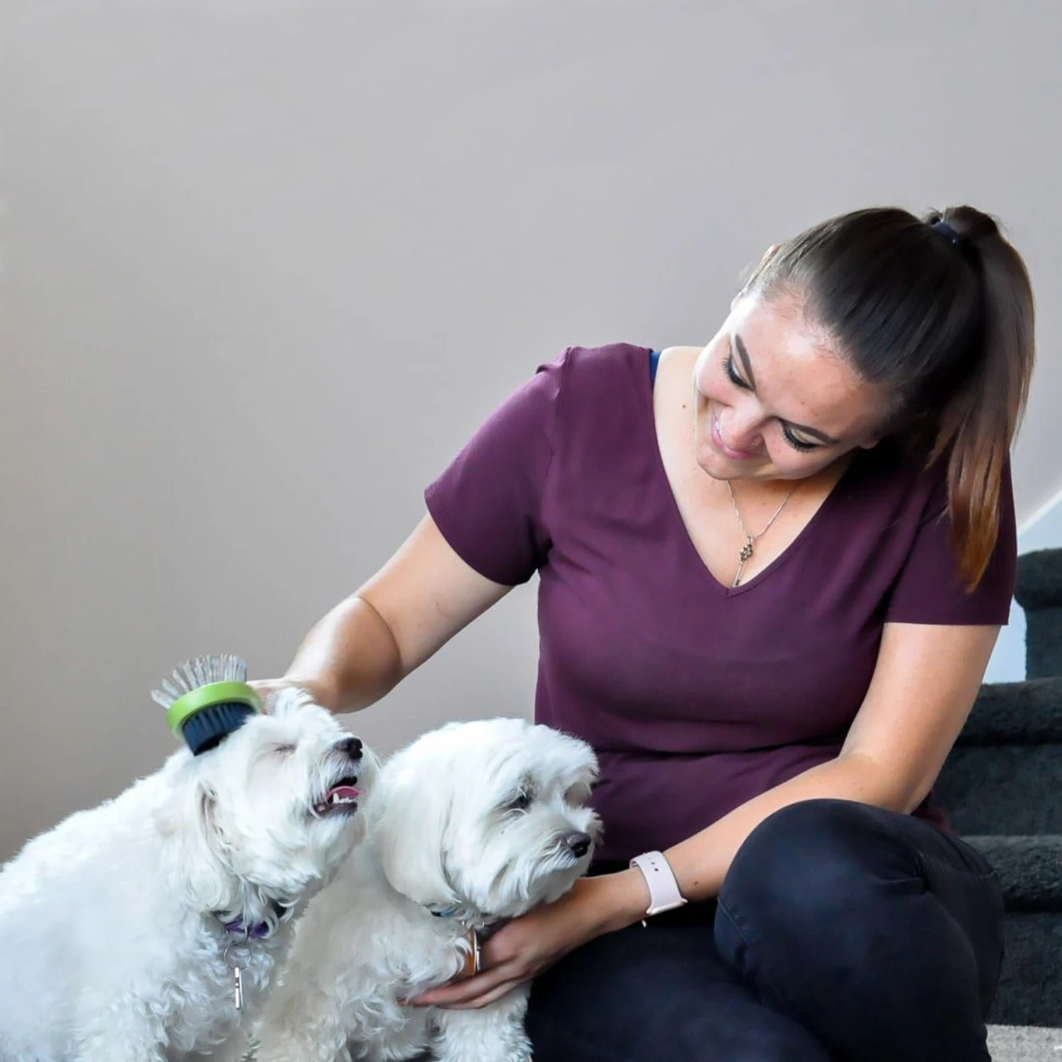 Safari Combo Brush For Dogs 3 Safari Combo Brush For Dogs - Image 3