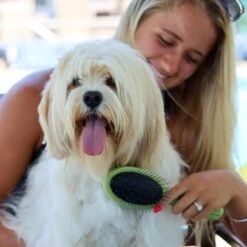 Safari Combo Brush For Dogs 12 Safari Combo Brush For Dogs -Pet Wellness 61282 PT5. AC SS1800 V1677958330