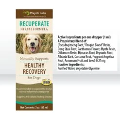 Wapiti Labs Recuperate Formula For Healthy Recovery Dog Supplement -Pet Wellness 61291 PT4. AC SS1800 V1582746126