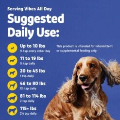 Vibeful Omega-3 Fish Oil Liquid Skin & Coat Supplement For Dogs 13 Vibeful Omega-3 Fish Oil Liquid Skin & Coat Supplement For Dogs -Pet Wellness 612934 PT5. AC SS1800 V1679518949