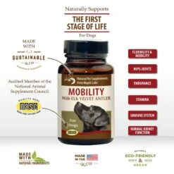Wapiti Labs Mobility Formula Dog Powder Supplement 9 Wapiti Labs Mobility Formula Dog Powder Supplement -Pet Wellness 61308 PT3. AC SS1800 V1582744998