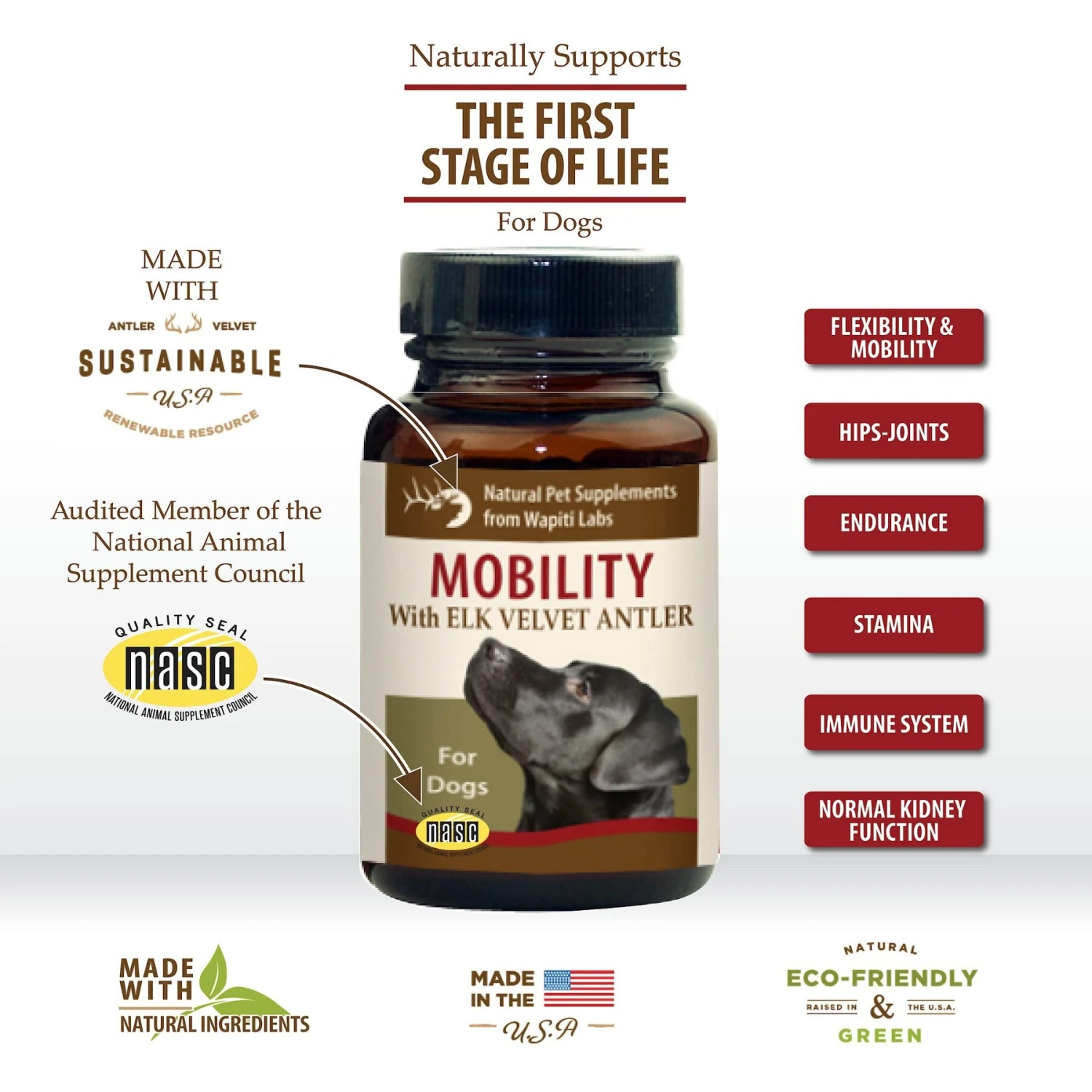 Wapiti Labs Mobility Formula Dog Powder Supplement 3 Wapiti Labs Mobility Formula Dog Powder Supplement - Image 3