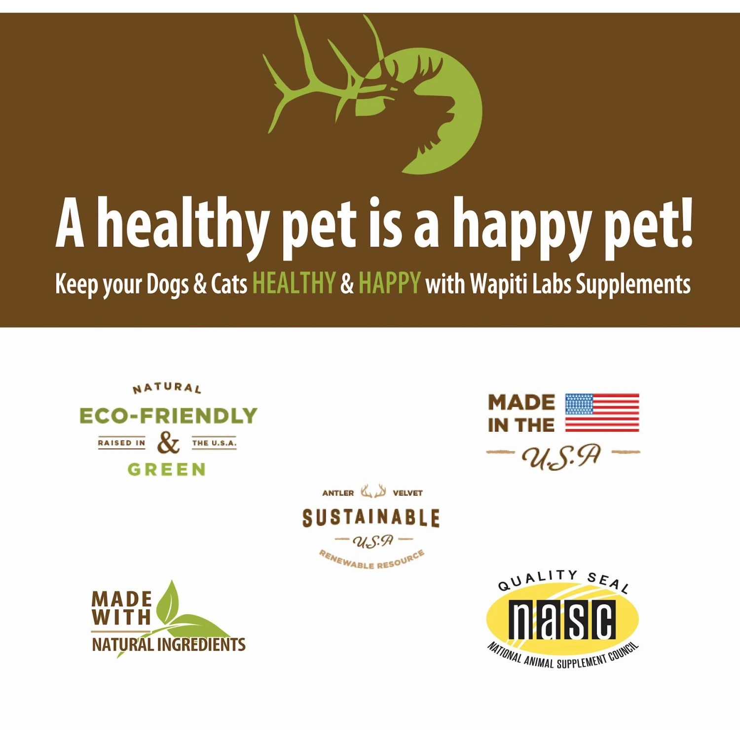 Wapiti Labs Mobility Formula Dog Powder Supplement 7 Wapiti Labs Mobility Formula Dog Powder Supplement - Image 7