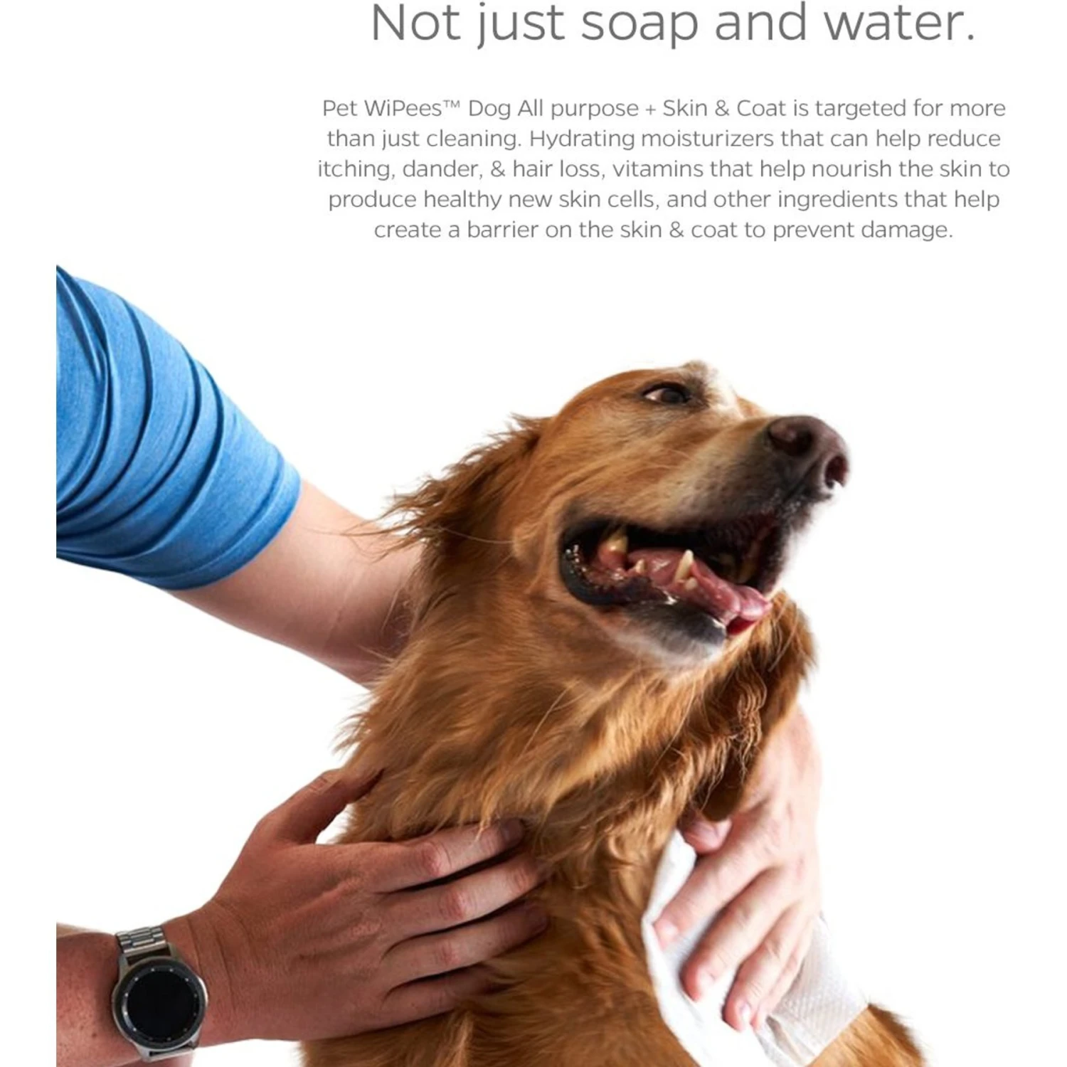 Pet Parents Pet WiPees Dog All Purpose Skin & Coat Dog Wipes, 100 Count 2 Pet Parents Pet WiPees Dog All Purpose Skin & Coat Dog Wipes, 100 Count - Image 2