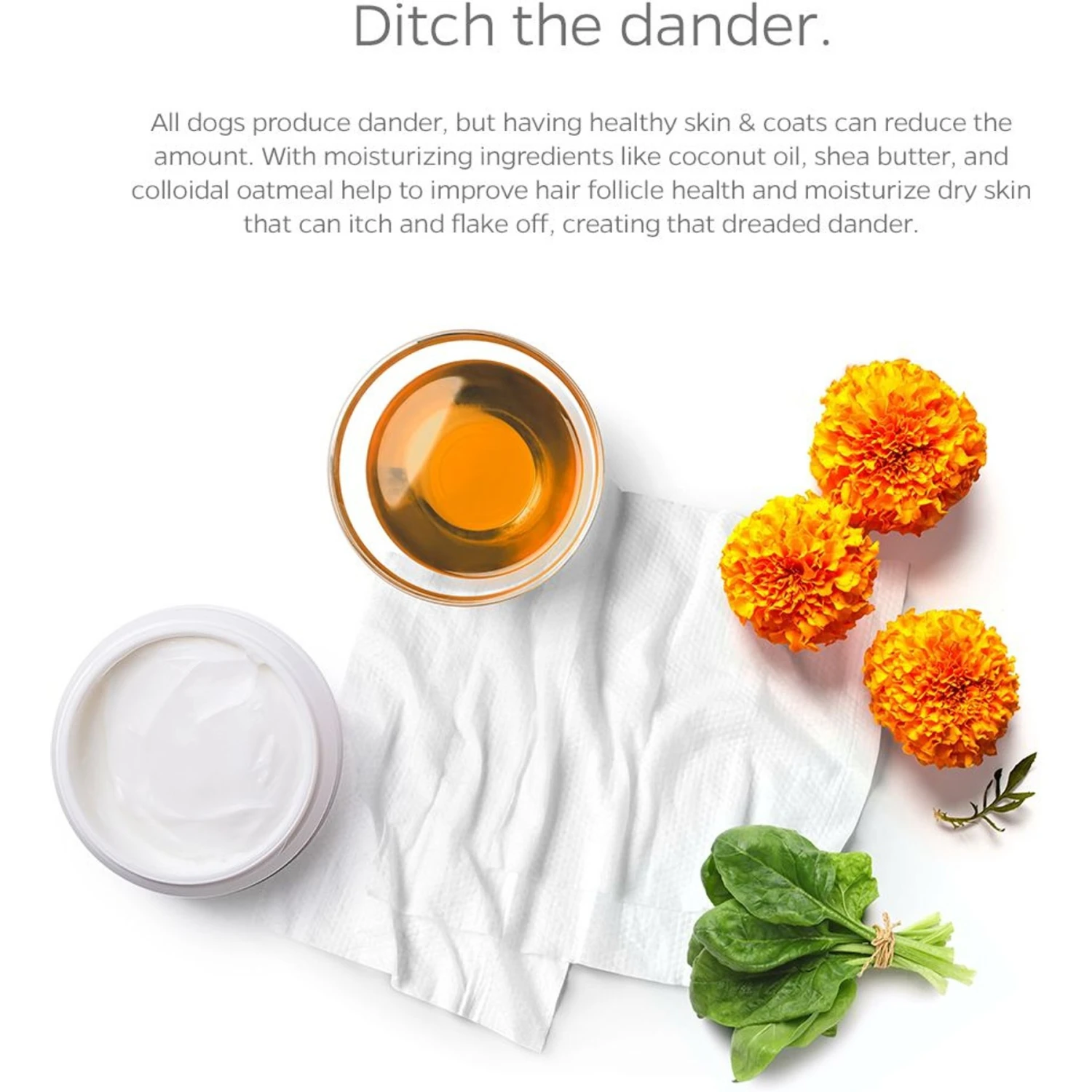 Pet Parents Pet WiPees Dog All Purpose Skin & Coat Dog Wipes, 100 Count 3 Pet Parents Pet WiPees Dog All Purpose Skin & Coat Dog Wipes, 100 Count - Image 3