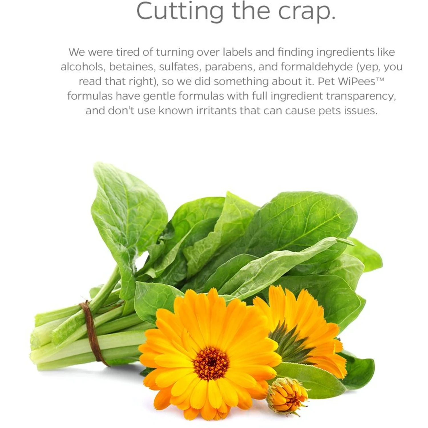 Pet Parents Pet WiPees Dog All Purpose Skin & Coat Dog Wipes, 100 Count 4 Pet Parents Pet WiPees Dog All Purpose Skin & Coat Dog Wipes, 100 Count - Image 4