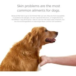 Pet Parents Pet WiPees Dog All Purpose Skin & Coat Dog Wipes, 100 Count 13 Pet Parents Pet WiPees Dog All Purpose Skin & Coat Dog Wipes, 100 Count -Pet Wellness 614094 PT4. AC SS1800 V1695828707
