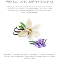 Pet Parents Pet WiPees Dog All Purpose Skin & Coat Dog Wipes, 100 Count 14 Pet Parents Pet WiPees Dog All Purpose Skin & Coat Dog Wipes, 100 Count -Pet Wellness 614094 PT5. AC SS1800 V1695757260