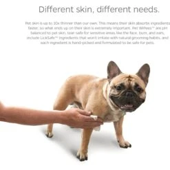 Pet Parents Pet WiPees Dog All Purpose Skin & Coat Dog Wipes, 100 Count 17 Pet Parents Pet WiPees Dog All Purpose Skin & Coat Dog Wipes, 100 Count -Pet Wellness 614094 PT8. AC SS1800 V1695756586
