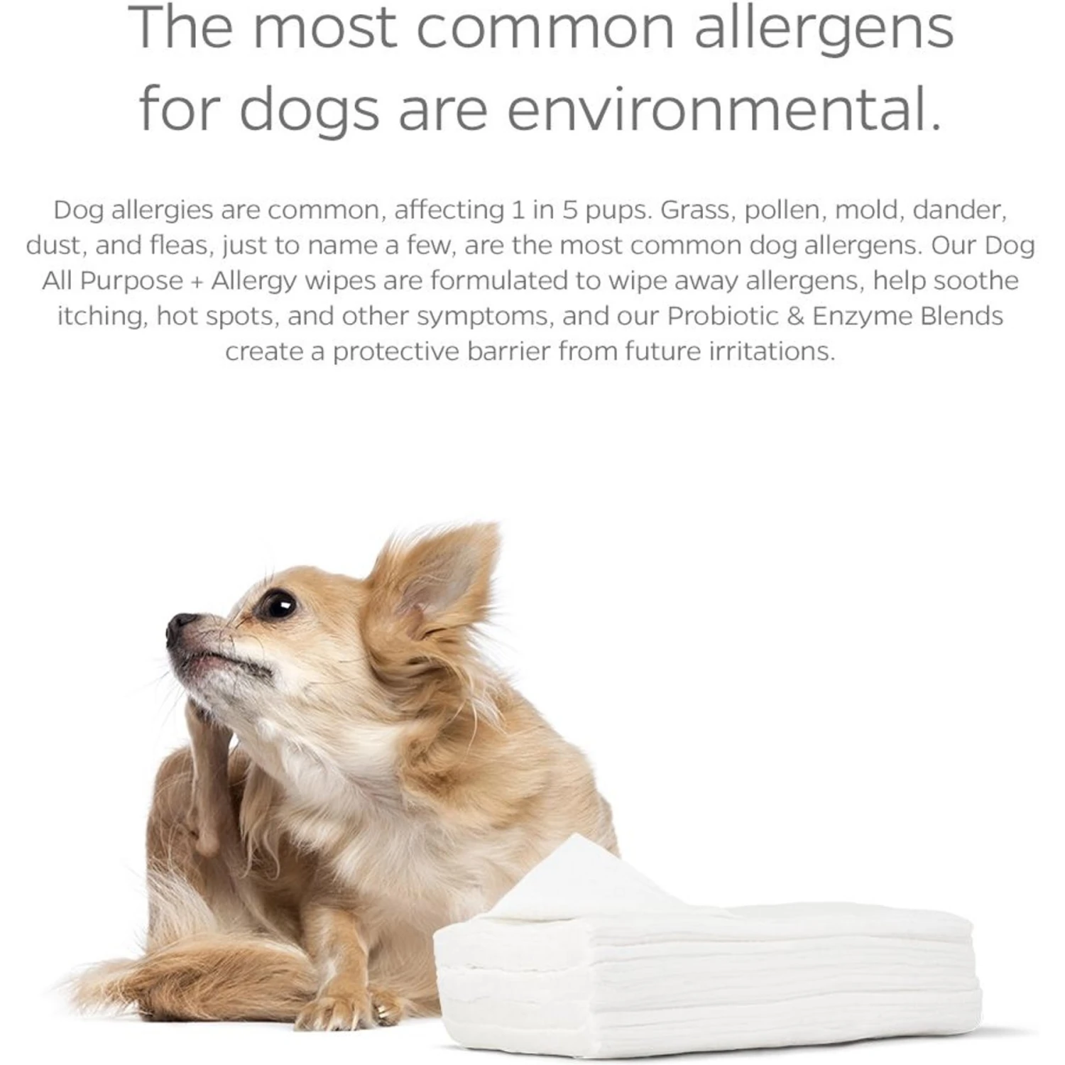 Pet Parents Pet WiPees Dog All Purpose Allergy Dog Wipes, 100 Count 3 Pet Parents Pet WiPees Dog All Purpose Allergy Dog Wipes, 100 Count - Image 3
