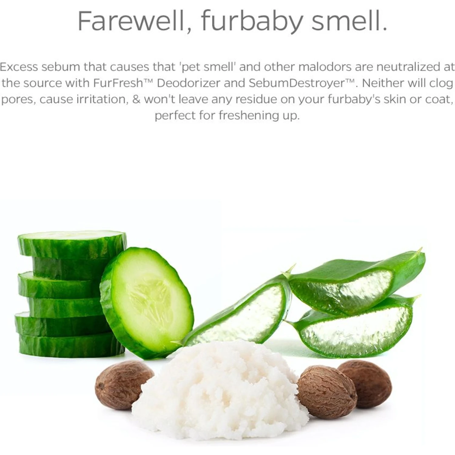 Pet Parents Pet WiPees Dog All Purpose Allergy Dog Wipes, 100 Count 7 Pet Parents Pet WiPees Dog All Purpose Allergy Dog Wipes, 100 Count - Image 7