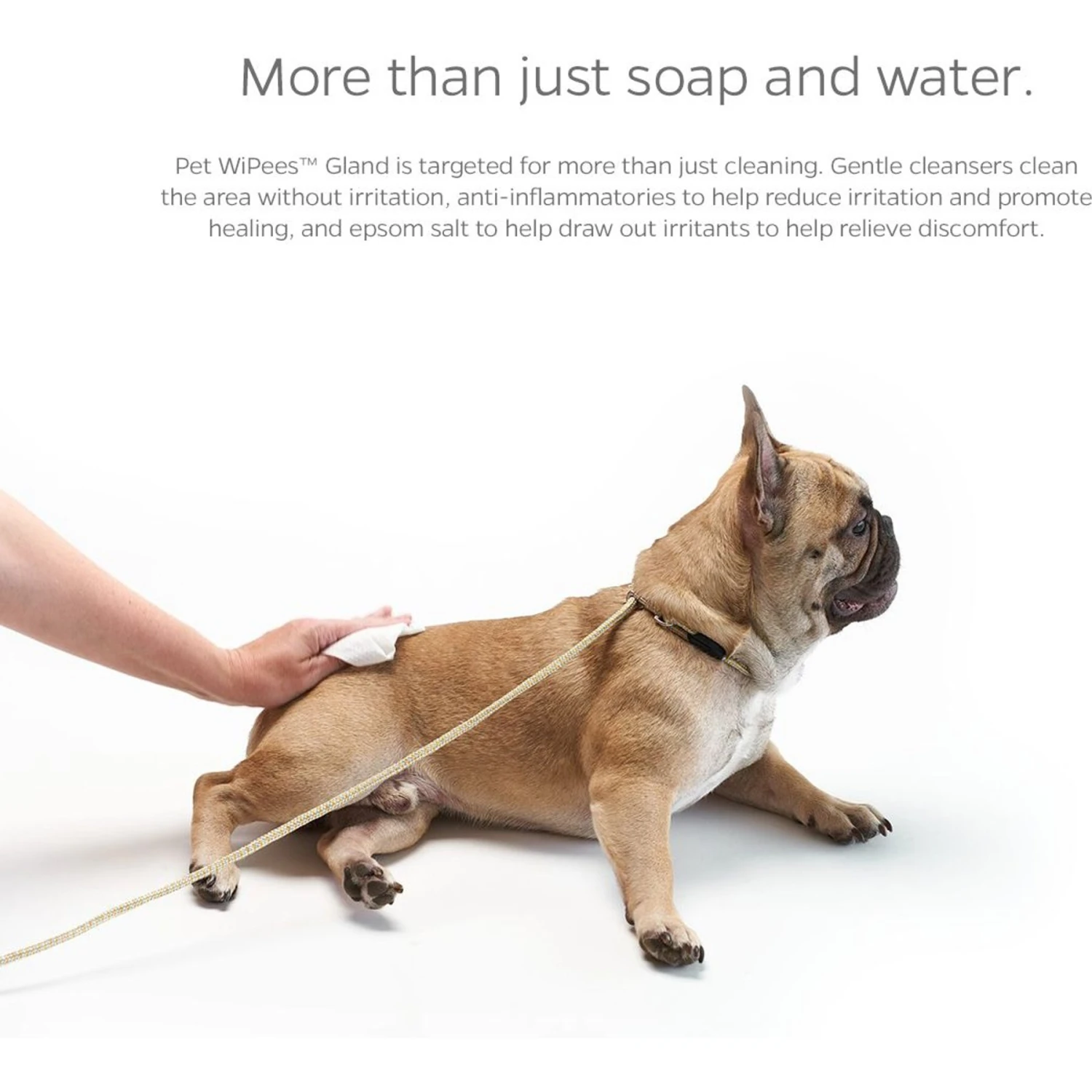 Pet Parents Pet WiPees Natural Scent Cat & Dog Gland Grooming Wipes, 100 Count 2 Pet Parents Pet WiPees Natural Scent Cat & Dog Gland Grooming Wipes, 100 Count - Image 2