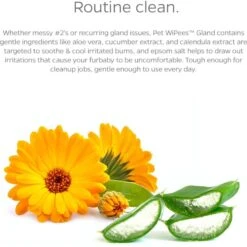 Pet Parents Pet WiPees Natural Scent Cat & Dog Gland Grooming Wipes, 100 Count 11 Pet Parents Pet WiPees Natural Scent Cat & Dog Gland Grooming Wipes, 100 Count -Pet Wellness 614206 PT2. AC SS1800 V1695760242