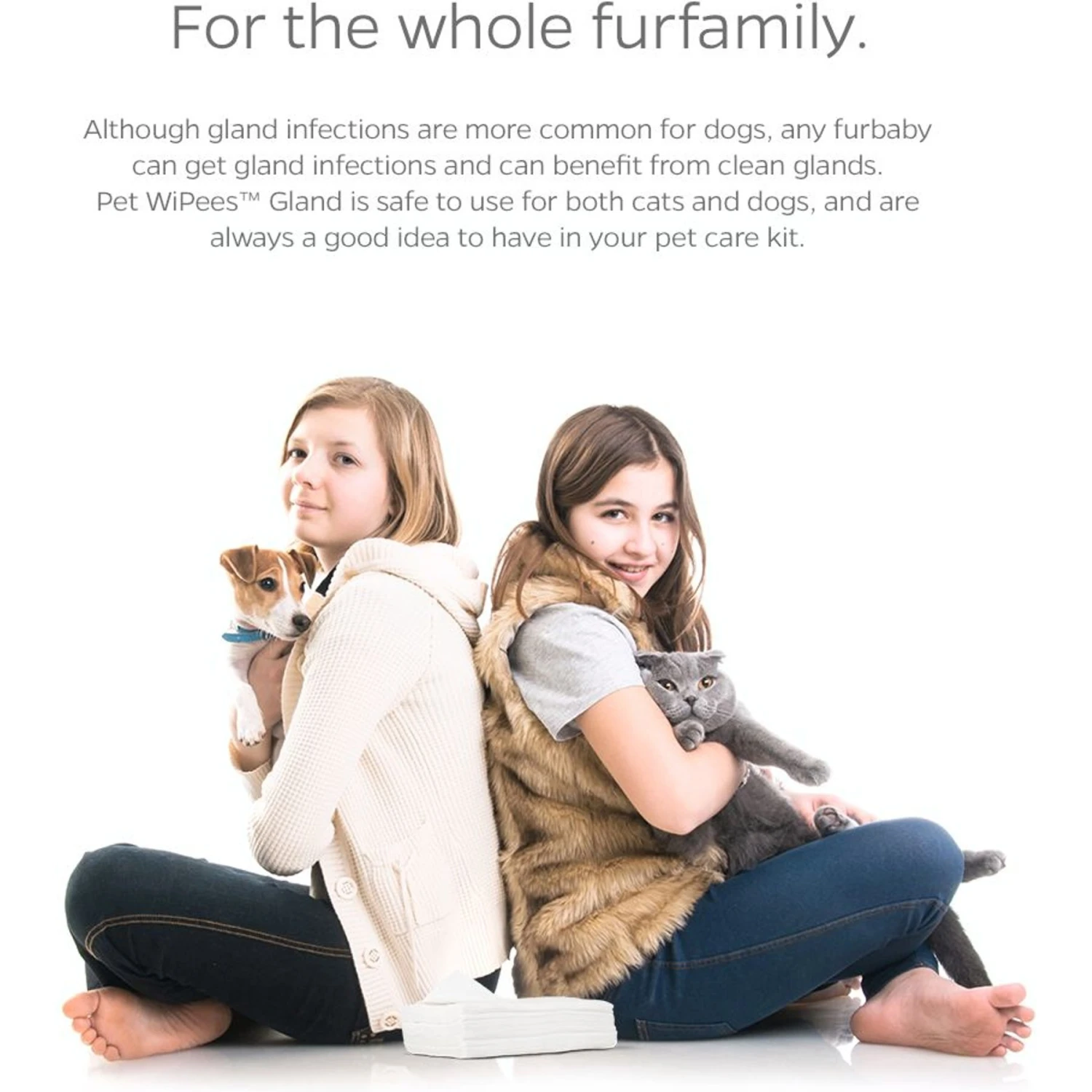 Pet Parents Pet WiPees Natural Scent Cat & Dog Gland Grooming Wipes, 100 Count 6 Pet Parents Pet WiPees Natural Scent Cat & Dog Gland Grooming Wipes, 100 Count - Image 6