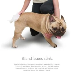 Pet Parents Pet WiPees Natural Scent Cat & Dog Gland Grooming Wipes, 100 Count 15 Pet Parents Pet WiPees Natural Scent Cat & Dog Gland Grooming Wipes, 100 Count -Pet Wellness 614206 PT6. AC SS1800 V1695760359