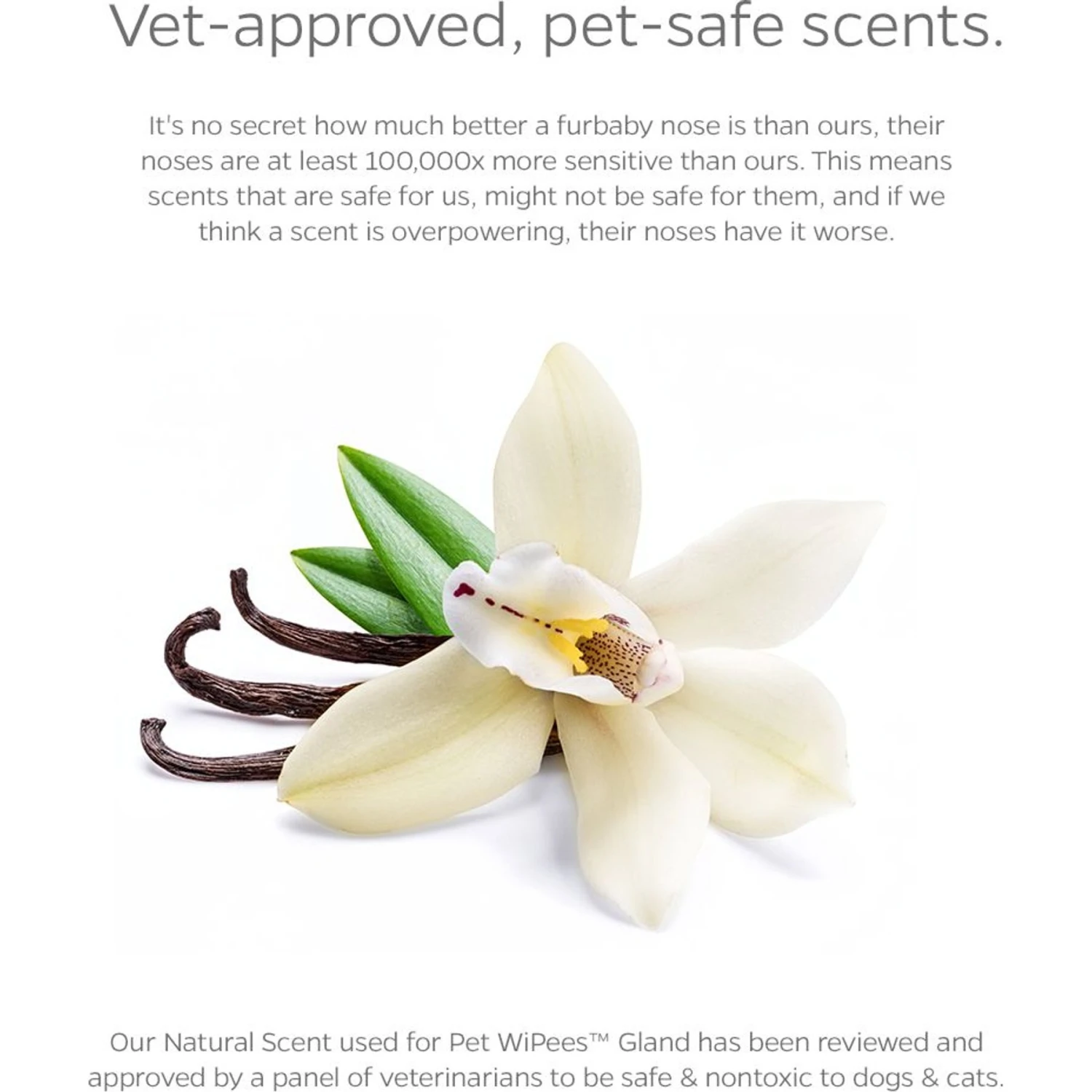 Pet Parents Pet WiPees Natural Scent Cat & Dog Gland Grooming Wipes, 100 Count 8 Pet Parents Pet WiPees Natural Scent Cat & Dog Gland Grooming Wipes, 100 Count - Image 8